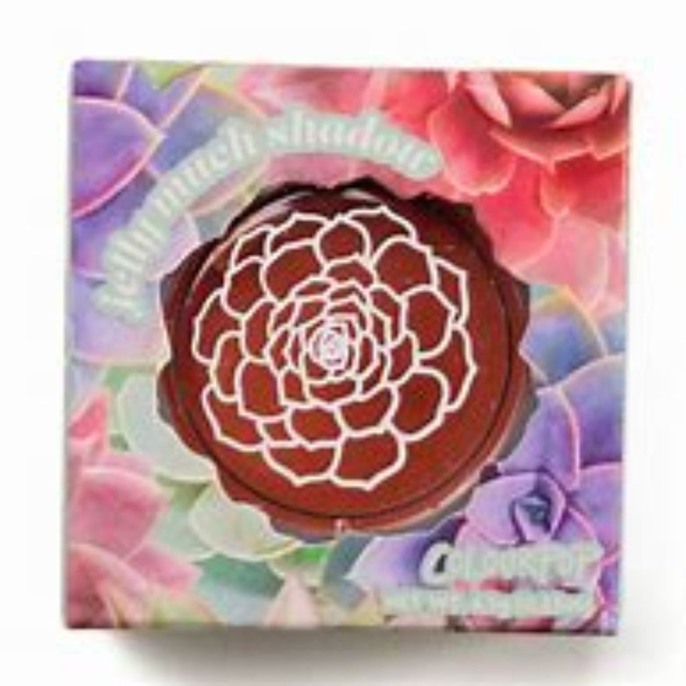 Colourpop Jelly Much Eye Shadow!!! BNIB!!!